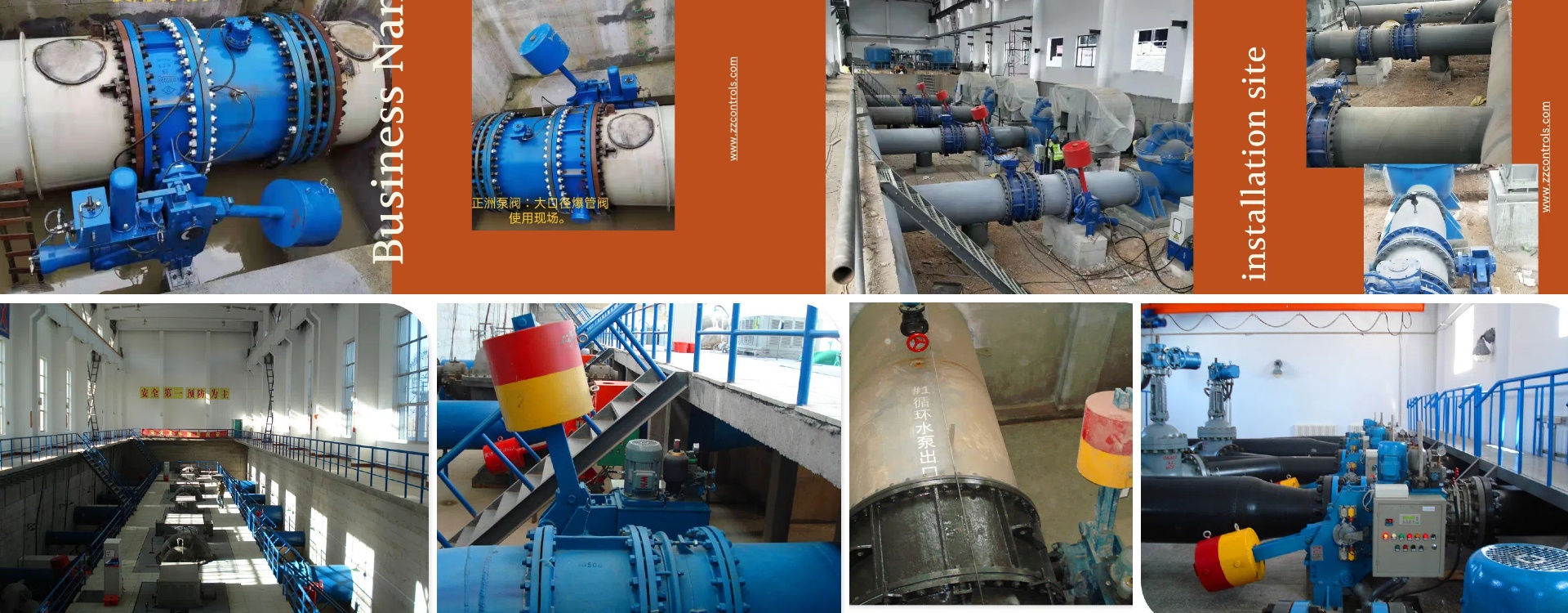 窝窝影视网电视剧